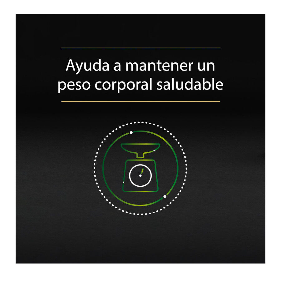 10 tarrinas x 85 g Pro Plan NutriSavour Sterilised Bacalao tarrina para gatos, , large Imagen numero 3